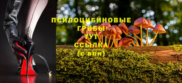 круглые Дмитриев
