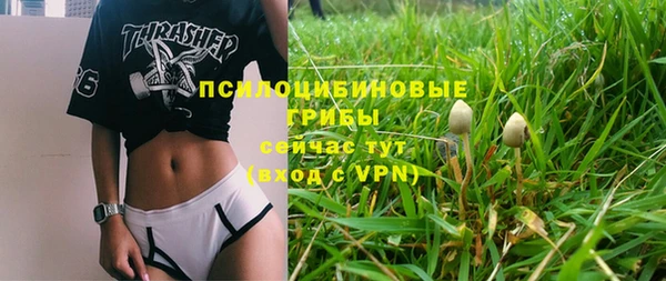 круглые Дмитриев
