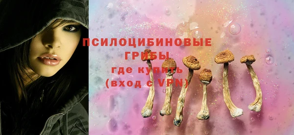 круглые Дмитриев