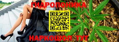 шишки Донецк