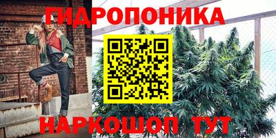 ECSTASY Дубна