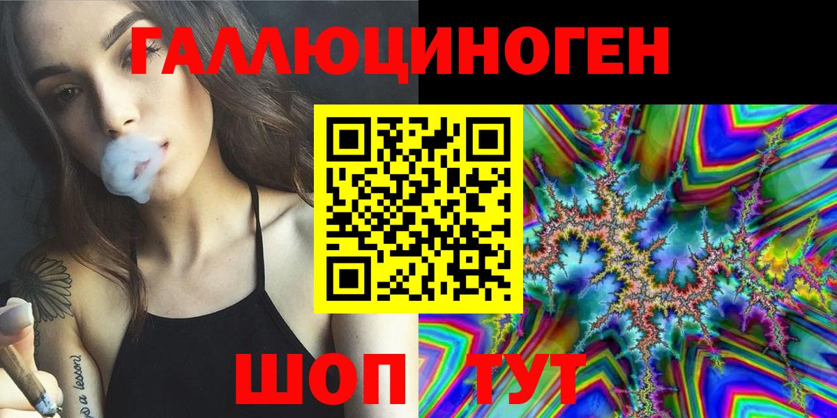 Псилоцибиновые грибы Psilocybe Кизляр