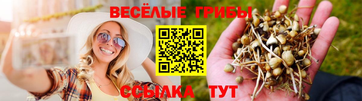 Кизляр  Псилоцибиновые грибы Magic Shrooms  Вход с VPN  Псилоцибиновые грибы Cubensis 